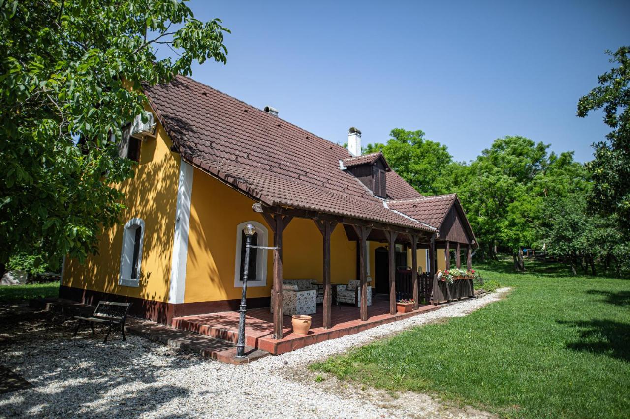 Bed and Breakfast Tusculanum Panzio à Mindszentkálla Extérieur photo